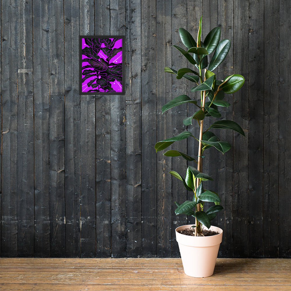 Fiddle Fig Leaf Framed poster