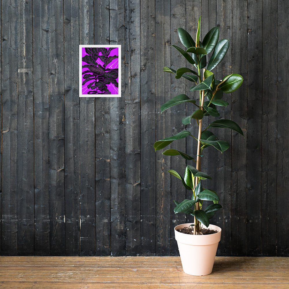 Fiddle Fig Leaf Framed poster